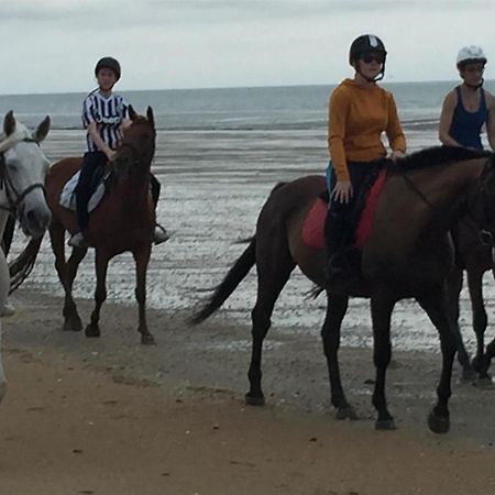 Decouverte D'Un Haras Proche Du Mont St Michel Hambye Екстериор снимка