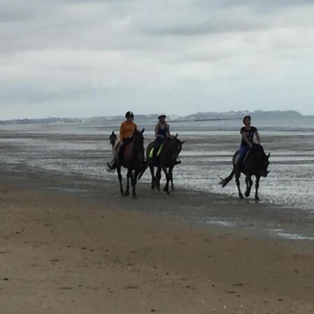 Decouverte D'Un Haras Proche Du Mont St Michel Hambye Екстериор снимка