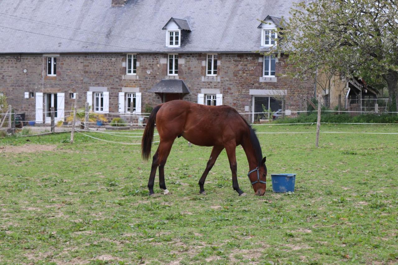 Decouverte D'Un Haras Proche Du Mont St Michel Hambye Екстериор снимка
