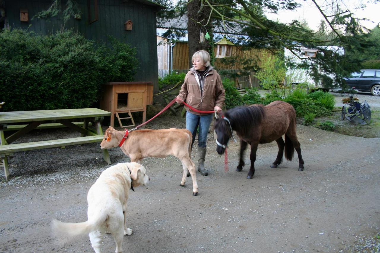 Decouverte D'Un Haras Proche Du Mont St Michel Hambye Екстериор снимка