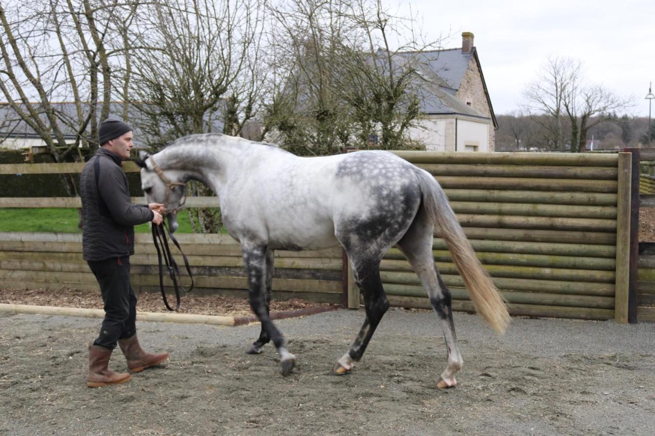 Decouverte D'Un Haras Proche Du Mont St Michel Hambye Екстериор снимка
