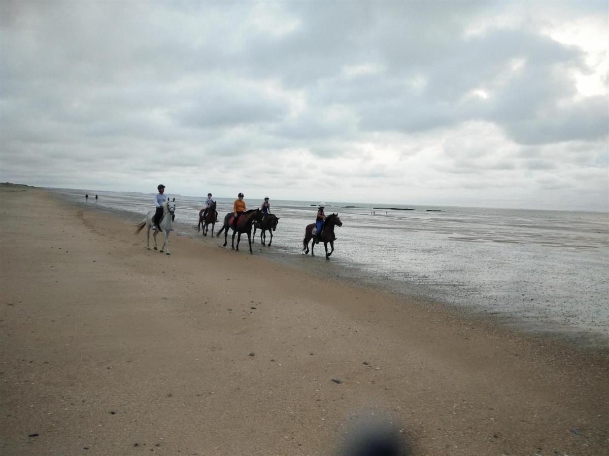 Decouverte D'Un Haras Proche Du Mont St Michel Hambye Екстериор снимка