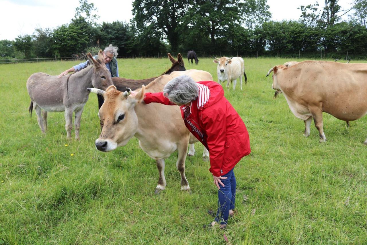 Decouverte D'Un Haras Proche Du Mont St Michel Hambye Екстериор снимка