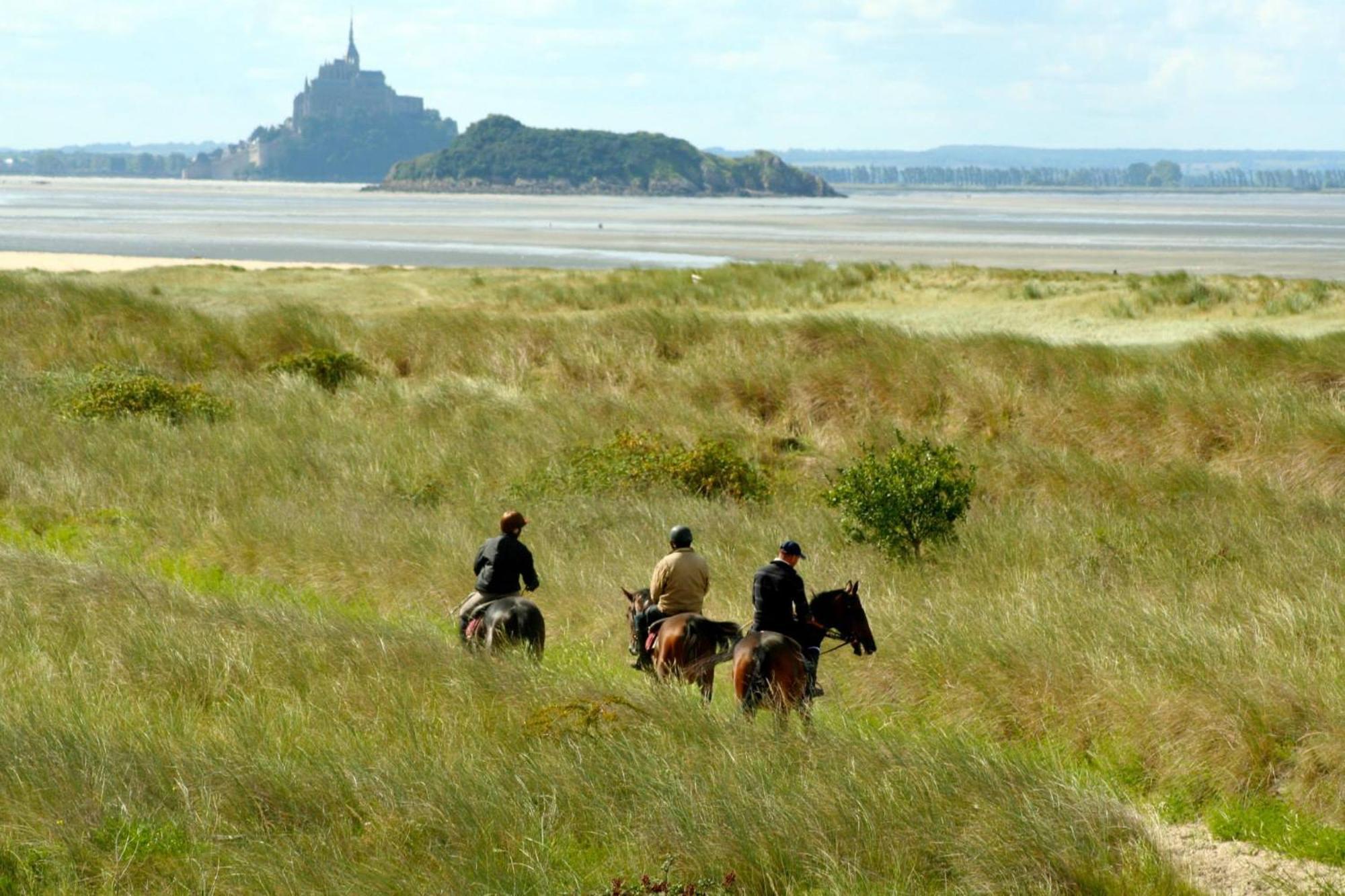 Decouverte D'Un Haras Proche Du Mont St Michel Hambye Екстериор снимка