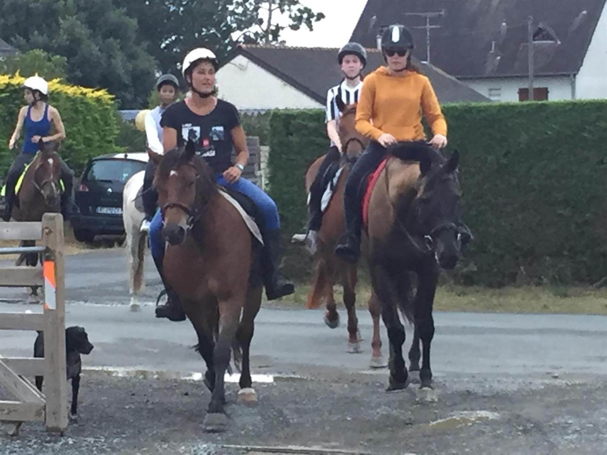 Decouverte D'Un Haras Proche Du Mont St Michel Hambye Екстериор снимка